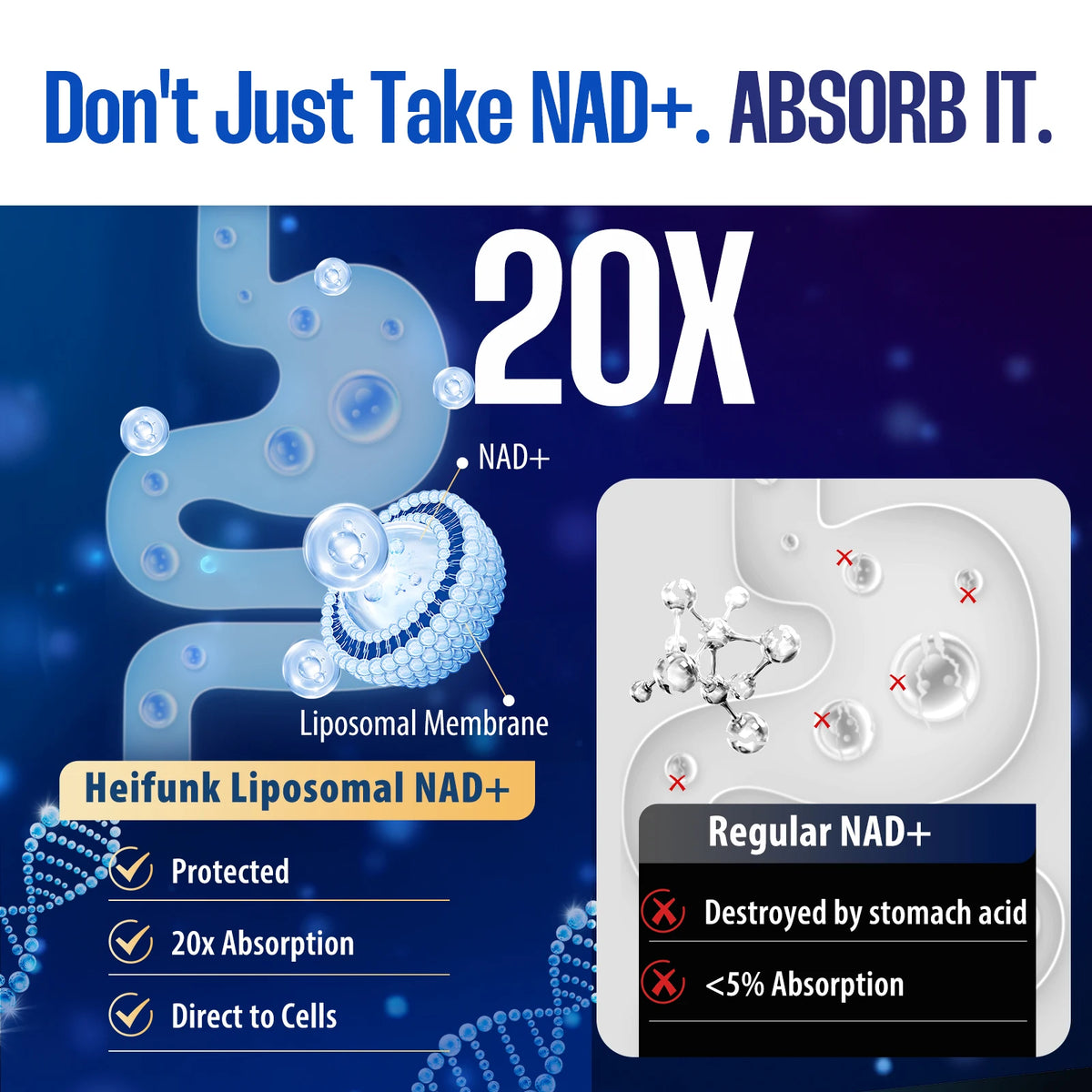 BIYODE Liposomal NAD Plus Supplement For Cellular Health Support