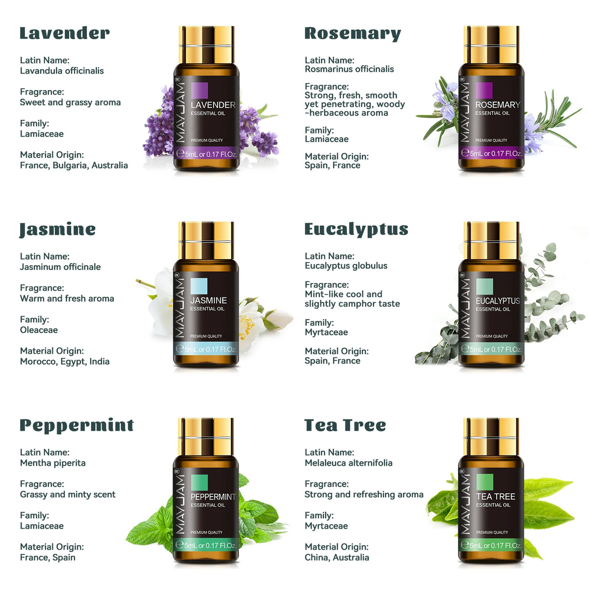 MAYJAM Essential Oils Aromatherapy Gift Set With Droppers
