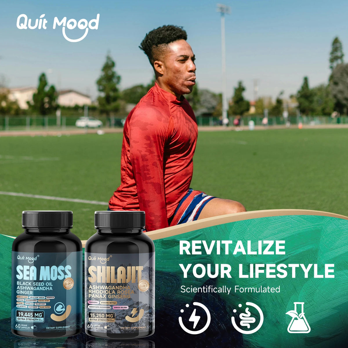 Quit Mood Shilajit With Ginseng Ashwagandha Rhodiola And Turmeric