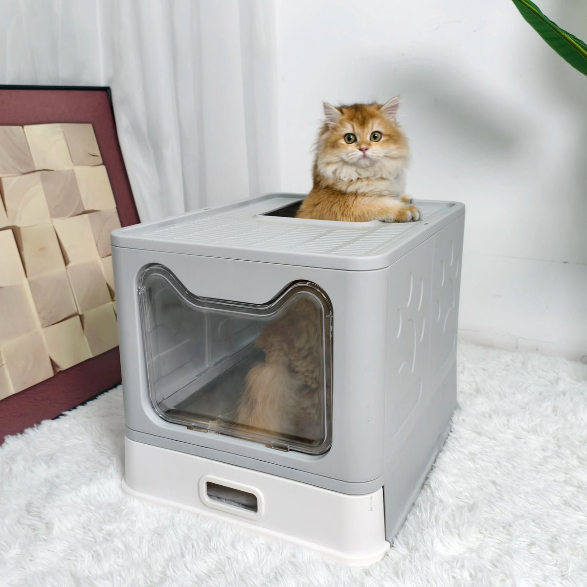 Enclosed Cat Litter Box Front Entry Top Exit With Lid