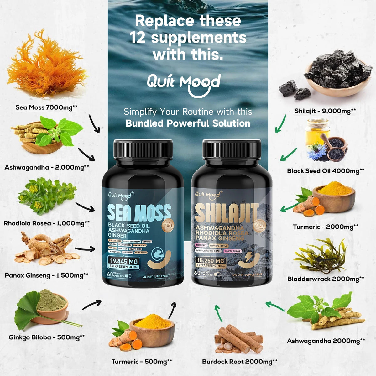 Quit Mood Shilajit With Ginseng Ashwagandha Rhodiola And Turmeric