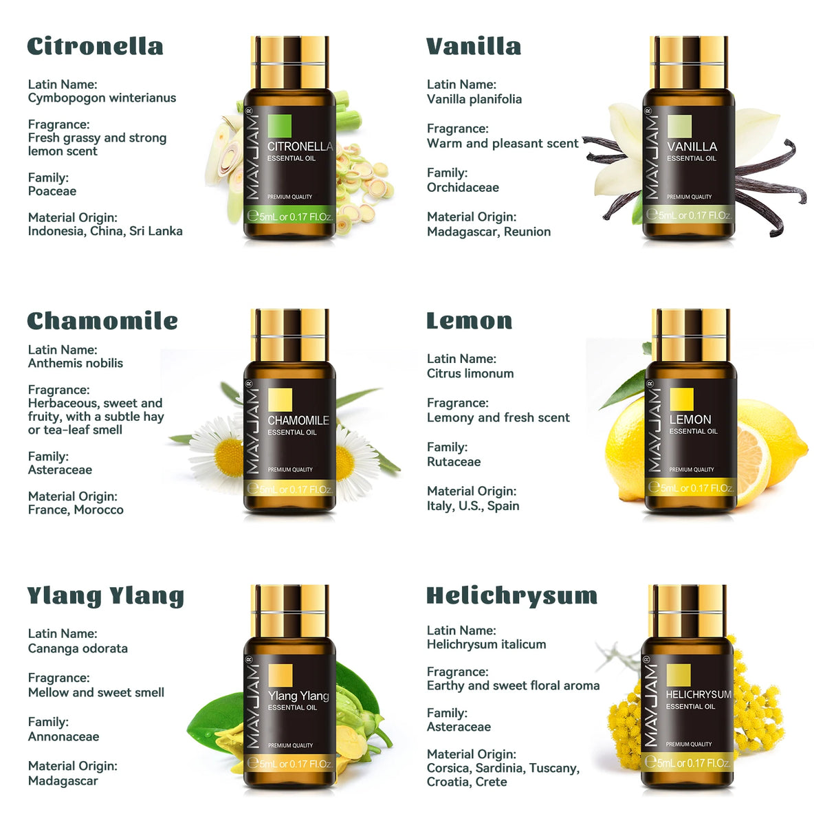 MAYJAM Essential Oils Aromatherapy Gift Set With Droppers