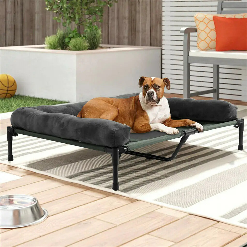 BINGOPAW Elevated Pet Bed With Detachable Plush Bolster