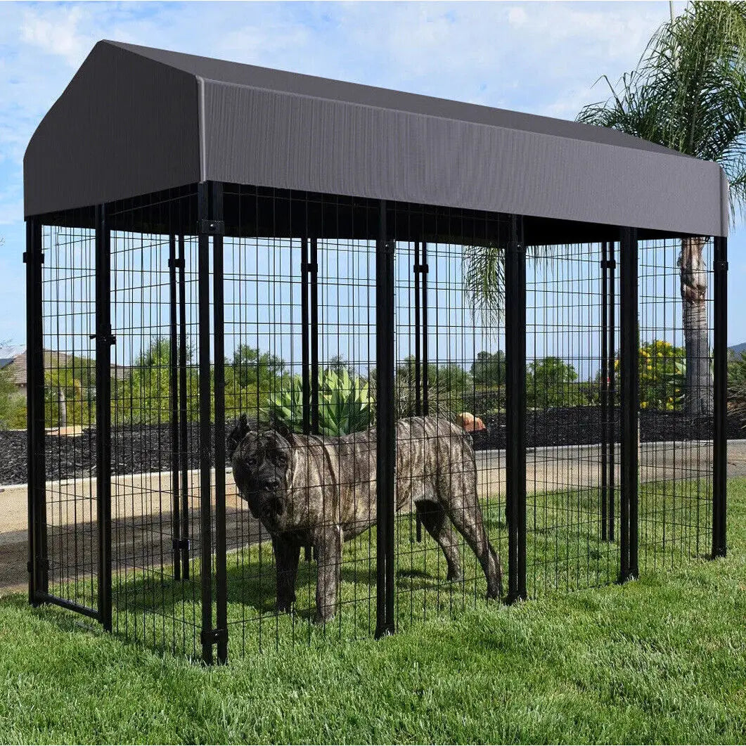 Outdoor Dog Kennel Run Enclosure With Roof And Secure Playpen
