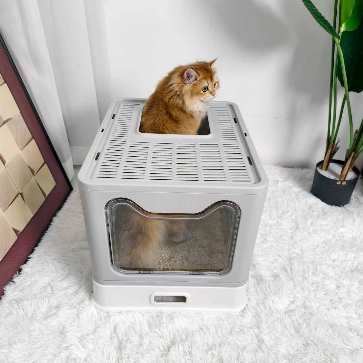 Enclosed Cat Litter Box Front Entry Top Exit With Lid