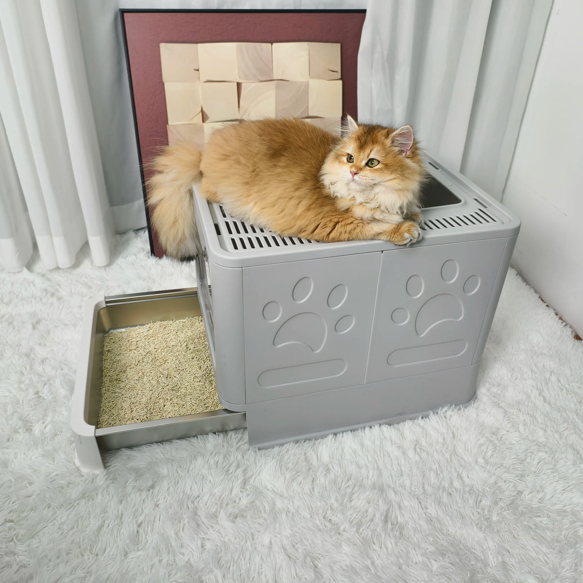 Enclosed Cat Litter Box Front Entry Top Exit With Lid