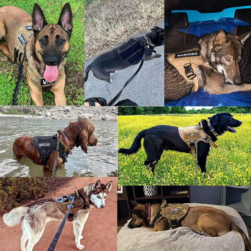 PETRAVEL Tactical Dog Harness Vest With Leash And Training Patches