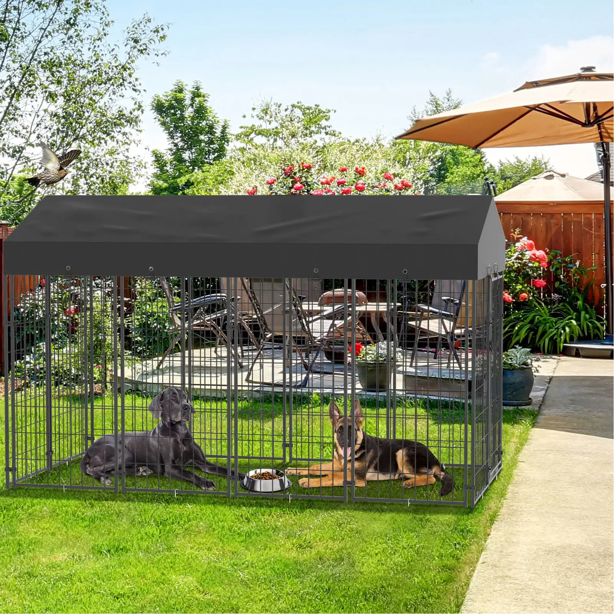 Outdoor Dog Kennel Run Enclosure With Roof And Secure Playpen